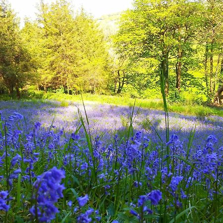 Lobhill Farmhouse Bed And Breakfast And Self Catering Accommodation Okehampton Exterior foto